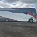 Scania P310 Horsebox