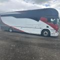 Scania P310 Horsebox
