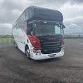Scania P310 Horsebox