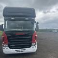 Scania P310 Horsebox